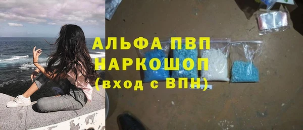 spice Верея