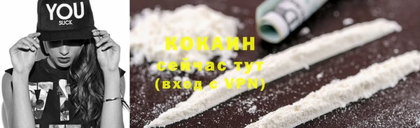 spice Верея