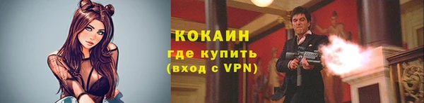 прущие грибы Верхний Тагил