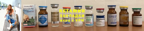 прущие грибы Верхний Тагил