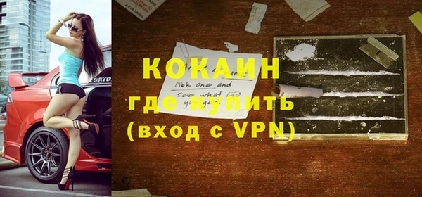 прущие грибы Верхний Тагил