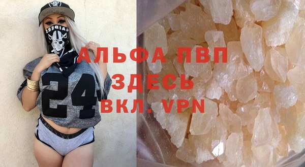 прущие грибы Верхний Тагил