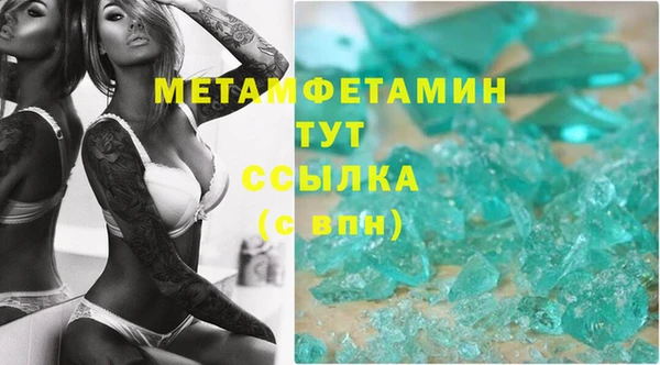 прущие грибы Верхний Тагил