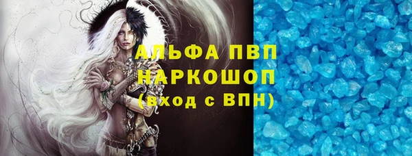 прущие грибы Верхний Тагил