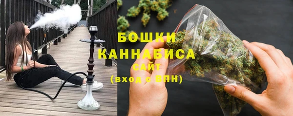 spice Верея