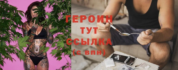прущие грибы Верхний Тагил
