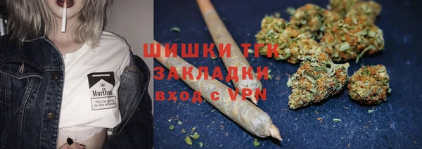 spice Верея