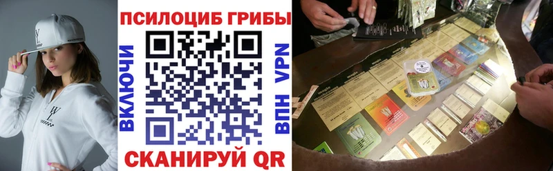Галлюциногенные грибы Psilocybe  где можно купить   Новосиль 